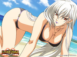 Rule 34 | 1girl, all fours, beach, bikini, black bikini, blue sky, breasts, cleavage, cloud, collarbone, copyright name, cross, day, earrings, freia kagami, jewelry, large breasts, light smile, lipstick, long hair, looking at viewer, makeup, necklace, outdoors, purple lips, red eyes, sky, slit pupils, smile, solo, swimsuit, wallpaper, white hair, wrestle angels, wrestle angels survivor