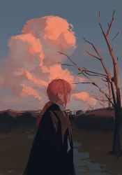 Rule 34 | 1girl, absurdres, braid, braided ponytail, chainsaw man, cloud, cloudy sky, coat, collared shirt, from behind, grass, highres, long coat, long sleeves, looking back, makima (chainsaw man), null (skev7724), outdoors, red hair, shirt, sky, solo, sunset, tree, white shirt