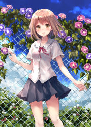 Rule 34 | 1girl, :d, bad id, bad pixiv id, brown eyes, brown hair, chain-link fence, cloud, day, fence, flower, fukahire (ruinon), looking at viewer, morning glory, open mouth, original, outdoors, plant, pleated skirt, school uniform, serafuku, short sleeves, skirt, sky, smile, solo, standing, vines