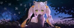 Rule 34 | 1girl, absurdres, animal ear fluff, animal ears, bare shoulders, black jacket, blush, cat ears, cheli (kso1564), closed mouth, copyright request, dress, flower, ghost, green eyes, hair between eyes, highres, jacket, light brown hair, long hair, long sleeves, looking at viewer, multicolored hair, night, night sky, off shoulder, official art, open clothes, open jacket, orange hair, outdoors, puffy long sleeves, puffy sleeves, sky, sleeveless, sleeveless dress, sleeves past fingers, sleeves past wrists, smile, solo, star (sky), starry sky, strap slip, streaked hair, tree, twintails, two-tone hair, upper body, very long hair, white dress, white flower