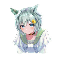 Rule 34 | 1girl, animal ears, blue eyes, blush, choker, commentary request, commission, ear covers, flower, frilled shirt, frills, green sailor collar, hair flower, hair ornament, hairclip, highres, horse ears, horse girl, layered shirt, layered sleeves, long sleeves, looking at viewer, partial commentary, pixiv commission, rakasei5050, red choker, sailor collar, see-through, see-through sleeves, seiun sky (umamusume), shirt, short hair, simple background, single ear cover, smile, solo, sunflower, sunflower hair ornament, umamusume, upper body, white background, white shirt
