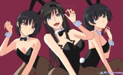 Rule 34 | 3girls, :d, alternate costume, amagami, animal ears, bare shoulders, black hair, black hairband, black leotard, blue eyes, bow, bowtie, breasts, brown eyes, commentary request, covered navel, curly hair, detached collar, drill hair, fake animal ears, fake tail, hairband, highres, large breasts, leotard, long hair, looking at viewer, medium breasts, mitojyaneeeeyo, morishima haruka, multiple girls, nanasaki ai, open mouth, pantyhose, playboy bunny, rabbit ears, rabbit tail, short hair, smile, strapless, strapless leotard, tail, thighs, traditional bowtie, tsukahara hibiki, twitter username, wrist cuffs