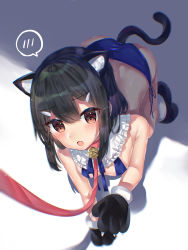 Rule 34 | 1girl, absurdres, all fours, anal, anal object insertion, anal tail, animal ears, animal hands, ass, bad id, bad pixiv id, bare shoulders, bdsm, bell, bikini, black hair, blue bikini, blush, breasts, brown eyes, butt plug, cat ears, cat tail, child, collar, fake tail, fate/kaleid liner prisma illya, fate (series), gloves, hair ornament, hairclip, highres, hitomin (ksws7544), jingle bell, leash, long hair, looking at viewer, miyu edelfelt, object insertion, open mouth, paw gloves, paw pose, pet play, sex toy, slave, small breasts, solo, swimsuit, tail, thighs, viewer holding leash