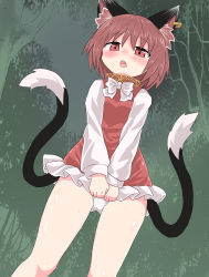 Rule 34 | 1girl, :o, animal ear fluff, animal ears, blush, breasts, brown hair, cat ears, cat tail, chen, chups, dress, dutch angle, earrings, feet out of frame, from below, highres, jewelry, looking at viewer, multiple tails, nekomata, no headwear, no headwear, nose blush, open mouth, panties, pantyshot, red dress, red eyes, short hair, single earring, small breasts, solo, tail, touhou, two tails, underwear