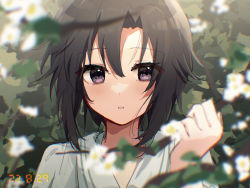 Rule 34 | 1girl, absurdres, birthday, black eyes, black hair, blurry, blurry foreground, blush, branch, bush, close-up, commentary, dated, depth of field, foliage, hair between eyes, hair strand, highres, holding, holding branch, idolmaster, idolmaster (classic), kikuchi makoto, looking away, nnnn, parted lips, portrait, segment display, shirt, short hair, solo, white shirt
