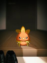 Rule 34 | absurdres, angry, bird, commentary request, creatures (company), game freak, gen 3 pokemon, highres, indoors, nintendo, pokemon, pokemon (creature), shoes, sitting, solo, starter pokemon trio, suchi (fsur7444), tearing up, torchic, wooden floor