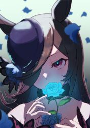 Rule 34 | 1girl, absurdres, animal ears, bare shoulders, blue flower, blue rose, brown hair, commentary request, covering own mouth, dress, falling petals, flower, gradient background, hair over one eye, harakomeshi, highres, holding, holding flower, horse ears, horse girl, long hair, long sleeves, looking at viewer, petals, purple dress, purple eyes, purple headwear, rice shower (umamusume), rose, rose petals, solo, tilted headwear, umamusume