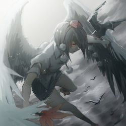 Rule 34 | 1girl, bird, bird wings, black hair, black wings, cloud, cloudy sky, crow, epic, hand fan, hat, hat ribbon, looking at viewer, mephisto (angraecum), pom pom (clothes), puffy short sleeves, puffy sleeves, red eyes, ribbon, shameimaru aya, shirt, short sleeves, skirt, sky, solo, tokin hat, touhou, wings