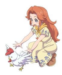 Rule 34 | 1girl, absurdres, animal, bird, blue eyes, blush, brown footwear, chicken, child, cucco, dress, eyelashes, full body, hair intakes, highres, long hair, malon, neckerchief, nintendo, open mouth, orange hair, outstretched arms, powerhamuhamu, round teeth, short sleeves, sidelocks, simple background, solo, squatting, teeth, the legend of zelda, the legend of zelda: ocarina of time, upper teeth only, white background, yellow dress, yellow neckerchief