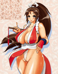 Rule 34 | shiranui mai, snk, tagme, the king of fighters, uncensored