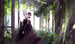 Rule 34 | 1girl, absurdres, bare shoulders, black dress, blue flower, bug, butterfly, commentary request, dappled sunlight, dress, flower, green butterfly, greenhouse, guo582, hair between eyes, hand up, highres, huge filesize, insect, long sleeves, looking at viewer, original, pink hair, plant, purple eyes, short hair, solo, standing, sunlight, white background, white flower