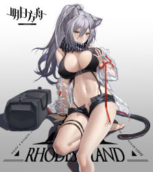 Rule 34 | 1girl, absurdres, animal ear fluff, animal ears, arknights, arm support, bag, bare legs, bare shoulders, black scarf, black shorts, grabbing another&#039;s breast, breasts, cat ears, cat tail, chinese commentary, commentary request, copyright name, crop top, feet out of frame, grabbing, grabbing own breast, gradient background, grey background, guangsupaomian, hair between eyes, hand up, highres, jacket, large breasts, long hair, looking at viewer, midriff, navel, off shoulder, open clothes, open fly, open jacket, scarf, schwarz (arknights), see-through, shadow, short shorts, shorts, silver hair, sitting, solo, stomach, tail, thigh strap, thighs, white background, yellow eyes
