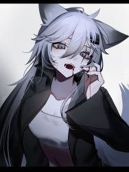Rule 34 | 1girl, 6ta6tam, animal ears, arknights, black eyes, black jacket, black nails, blood, blood from mouth, blood on hands, breasts, cleavage, collarbone, fangs, gradient background, grey background, grey hair, hair between eyes, highres, jacket, lappland (arknights), letterboxed, long hair, long sleeves, looking at viewer, nail polish, open clothes, open jacket, open mouth, scar, scar across eye, scar on face, small breasts, solo, strapless, tail, tube top, v, very long hair, wolf ears, wolf girl, wolf tail