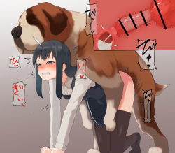 Rule 34 | 1girl, all fours, animal penis, asashio (kancolle), balloon womb, bar censor, bestiality, black dress, black hair, black thighhighs, blue eyes, blush, breasts, censored, clenched teeth, clothed sex, cross-section, cum, cum in pussy, dog, dog penis, doggystyle, dress, ejaculation, facing viewer, gradient background, grey background, half-closed eyes, heart, hetero, internal cumshot, japanese text, kantai collection, knotted penis, long hair, long sleeves, looking to the side, penis, sex, sex from behind, shirt, sidelocks, simple background, small breasts, spoken heart, teeth, thighhighs, trembling, tsurugi (the horizon), vaginal, white shirt