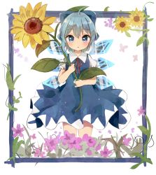 Rule 34 | 1girl, :o, ahoge, bad id, bad pixiv id, blue bow, blue dress, blue eyes, blue hair, blush, bow, cirno, commentary request, cowboy shot, dress, flat chest, flower, flower request, hair bow, highres, holding, holding flower, ice, ice wings, leaf, parted lips, poco (zdrq3), puffy short sleeves, puffy sleeves, purple flower, red neckwear, red ribbon, ribbon, short hair, short sleeves, simple background, solo, standing, sunflower, touhou, wings, yellow flower