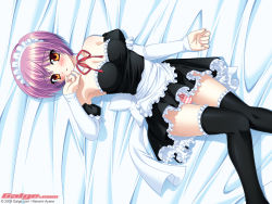 Rule 34 | 1girl, 2009, :d, apron, bare shoulders, bed sheet, black thighhighs, blush, bob cut, bow, bow panties, breasts, cameltoe, cleavage, dakimakura (medium), detached sleeves, embarrassed, finger to mouth, frills, from above, galge.com, hairband, lying, m/, maid, maid apron, maid headdress, medium breasts, nanami ayane, naughty face, on back, open mouth, orange eyes, panties, pantyshot, pink panties, purple hair, ribbon, short hair, smile, solo, striped clothes, striped panties, thigh gap, thighhighs, underwear, waist apron, wallpaper