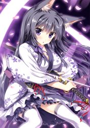 Rule 34 | &gt;:o, 1girl, :o, animal ears, black hair, blush, breasts, cherry blossoms, cleavage, drawing sword, fox ears, fox tail, glint, holding, holding sword, holding weapon, japanese clothes, kimono, kitsune, long hair, original, petals, purple eyes, scabbard, sheath, solo, sword, tail, tateha (marvelous grace), thighhighs, unsheathing, v-shaped eyebrows, weapon, white thighhighs