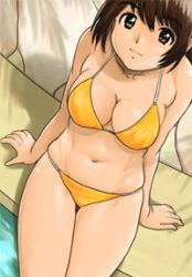 Rule 34 | 1girl, animated, animated gif, ass expansion, bikini, breast expansion, breasts, brown eyes, brown hair, cleavage, fat, looking at viewer, lowres, medium breasts, plump, pool, sitting, smile, solo, swimsuit, weight gain, yellow theme