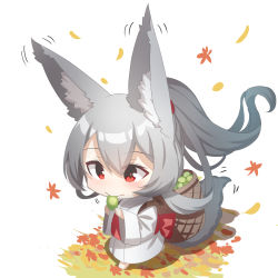 Rule 34 | 1girl, animal ear fluff, animal ears, autumn leaves, barefoot, basket, chibi, commentary request, eating, food, food request, fox ears, fox girl, fox tail, full body, grey hair, hair between eyes, highres, holding, holding food, japanese clothes, kimono, leaf, long sleeves, looking away, maple leaf, motion lines, obi, original, ponytail, red eyes, sash, simple background, solo, tail, walking, white background, white kimono, wide sleeves, yuuji (yukimimi)