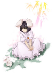 Rule 34 | 1girl, animal ears, bamboo, black hair, brown eyes, dress, female focus, highres, inaba tewi, jewelry, outstretched hand, pendant, rabbit, rabbit ears, simple background, sitting, solo, touhou, tsukinami, tsukinami kousuke, v arms