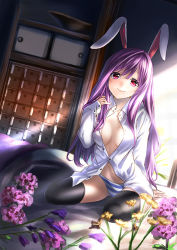 Rule 34 | 1girl, animal ears, arm support, bad id, bad pixiv id, black thighhighs, dress shirt, dutch angle, female focus, flower, light rays, long hair, looking at viewer, open clothes, open shirt, panties, purple hair, rabbit ears, red eyes, reisen udongein inaba, revision, shirt, sitting, smile, solo, striped clothes, striped panties, sunbeam, sunlight, thighhighs, touhou, underwear, unowen
