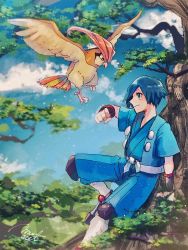 Rule 34 | 1boy, blue eyes, blue hair, blue jacket, blue shorts, blush, bracer, clenched hand, closed mouth, cloud, commentary request, creatures (company), day, falkner (pokemon), game freak, gen 1 pokemon, hand up, hanenbo, highres, jacket, nintendo, outdoors, pidgeotto, pokemon, pokemon (creature), pokemon hgss, sash, short hair, short sleeves, shorts, signature, sitting, sky, tree