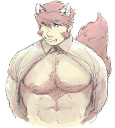 Rule 34 | 1boy, abs, animal ears, arms behind back, bara, bare pectorals, body fur, chest hair, chest tuft, collared shirt, cropped torso, fox boy, fox ears, fox tail, glasses, kekkai sensen, kemonomimi mode, klaus von reinhertz, large pectorals, large tail, long sideburns, looking at viewer, male focus, mature male, muscular, muscular male, muted color, mutton chops, navel, nipples, nore (boosuke), open clothes, open shirt, pectorals, red hair, semi-rimless eyewear, shirt, short hair, sideburns, sketch, solo, stomach, tail, tusks, unbuttoned, unbuttoned shirt, wide-eyed
