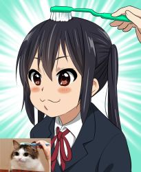 Rule 34 | 1girl, :3, bad id, bad pixiv id, black hair, blush stickers, brown eyes, brushing hair, cat, comparison, k-on!, long hair, nakano azusa, photo inset, reference inset, reference photo, school uniform, toothbrush, twintails, watanore