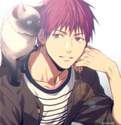 Rule 34 | 1boy, akashi seijuurou, animal, animal on shoulder, blue eyes, brown jacket, buttons, casual, cat, cat on shoulder, collarbone, commentary request, gradient background, grey background, hand on own cheek, hand on own face, hand up, jacket, kuroko no basuke, lens flare, looking at another, looking to the side, male focus, mashima shima, open clothes, open jacket, parted lips, red eyes, red hair, shirt, short hair, simple background, smile, solo, striped clothes, striped shirt, twitter username, upper body, white shirt