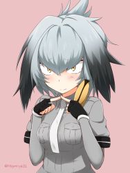 Rule 34 | 10s, 1girl, black gloves, black hair, blush, bodystocking, breast pocket, closed mouth, commentary, fingerless gloves, fingers together, gloves, grey hair, grey shirt, hair between eyes, head wings, highres, index fingers together, kemono friends, light blush, light frown, looking at viewer, low ponytail, medium hair, multicolored hair, nagomiya (shousha), orange hair, pink background, pocket, shirt, shoebill (kemono friends), short sleeves, simple background, solo, standing, tsurime, twitter username, upper body, white neckwear, wing collar, wings, yellow eyes