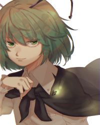 Rule 34 | 1girl, antennae, arm up, black cape, bug, cape, firefly, green eyes, green hair, hair between eyes, insect, kubrick stare, light smile, long sleeves, looking at viewer, moeki (moeki0329), shirt, short hair, simple background, sleeve cuffs, solo, standing, touhou, upper body, white background, white shirt, wriggle nightbug