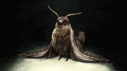 Rule 34 | animal focus, bug, dark, highres, bug, moth, nishimawari kouro, no humans, original, solo