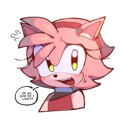 Rule 34 | 1girl, amy rose, animal ears, blush, english text, furry, furry female, green eyes, hairband, highres, kumo zd, looking at viewer, open mouth, pink fur, portrait, red hairband, simple background, sleeveless, solo, sonic (series), speech bubble, sweat, white background