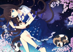 Rule 34 | 1girl, animal ears, ankle cuffs, ankle garter, bad id, bad pixiv id, barefoot, bell, blue eyes, brown hair, cat, cat ears, cat tail, cherry blossoms, clover4th, dress, floral print, jingle bell, long hair, lying, nyanya, on side, original, petals, petticoat, ribbon, ripples, solo, tail