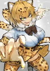 Rule 34 | 1girl, absurdres, adeshi (adeshi0693119), animal ears, belt, blonde hair, bow, bowtie, elbow gloves, extra ears, gloves, grey background, highres, jaguar (kemono friends), jaguar ears, jaguar print, jaguar tail, kemono friends, kneehighs, looking at viewer, shirt, shoes, short hair, simple background, skirt, socks, solo, tail, yellow eyes