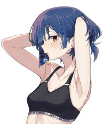 Rule 34 | 1girl, absurdres, adjusting hair, armpits, arms up, black sports bra, blue hair, bocchi the rock!, breasts, collarbone, cube hair ornament, earrings, hair ornament, highres, jewelry, looking at viewer, mole, mole under eye, mouth hold, nenehotoso, short hair, short ponytail, small breasts, sports bra, stud earrings, upper body, white background, yamada ryo, yellow eyes