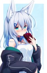 Rule 34 | 1girl, animal ears, bare shoulders, black jacket, blue background, blue collar, blue eyes, blue hair, blush, box, breasts, camisole, cleavage, closed mouth, collar, collarbone, drop shadow, fox ears, gift, gift box, hair between eyes, hair ornament, hairclip, hand up, highres, holding, holding gift, hood, hood down, hooded jacket, jacket, long hair, long sleeves, looking at viewer, medium breasts, nose blush, open clothes, open jacket, original, shirogane kasane, sleeves past wrists, solo, surume aburi, two-tone background, v-shaped eyebrows, white background, white camisole