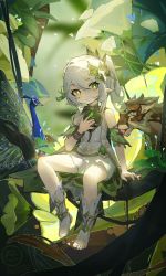 Rule 34 | 1girl, arm support, bird, bloomers, boots, bracelet, child, closed mouth, commentary, detached sleeves, dress, english commentary, flower-shaped pupils, genshin impact, green eyes, green sleeves, hair ornament, hand on own chest, jewelry, leaf hair ornament, long hair, looking to the side, nahida (genshin impact), peacock, pointy ears, pupubutong, short sleeves, side ponytail, sitting, sitting on branch, solo, sunlight, symbol-shaped pupils, toeless footwear, tree, underwear, white bloomers, white dress, white footwear, white hair