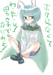 Rule 34 | 1girl, androgynous, antennae, cape, female focus, full body, green eyes, green hair, matching hair/eyes, reverse trap, sketch, solo, text focus, touhou, translated, white background, wriggle nightbug