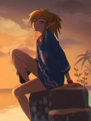 Rule 34 | 1boy, beach, blonde hair, blue eyes, blush, brown hair, closed mouth, cloud, earrings, evening, jewelry, kokekokeimo, link, looking at viewer, male focus, nintendo, outdoors, pointy ears, ponytail, sitting, sitting on tree stump, sky, solo, sunset, the legend of zelda, the legend of zelda: tears of the kingdom, tree stump, tunic