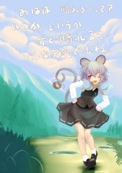 Rule 34 | 1girl, animal ears, blush, grey hair, highres, ishikkoro, mouse ears, mouse tail, nazrin, open mouth, short hair, smile, solo, tail, touhou, translation request, umbrella