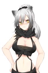 Rule 34 | 1girl, animal ear fluff, animal ears, arknights, bare arms, bare shoulders, black scrunchie, breasts, brown eyes, cleavage, cleavage cutout, closed mouth, clothing cutout, commentary request, crop top, eyebrows hidden by hair, gradient hair, grey hair, hair between eyes, hair ornament, hair scrunchie, hands on own hips, highres, inniyik, large breasts, long hair, looking at viewer, midriff, multicolored hair, navel, ponytail, schwarz (arknights), scrunchie, simple background, solo, wavy mouth, white background