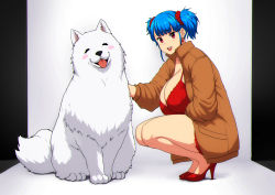 Rule 34 | 1girl, blue hair, breasts, brown coat, cleavage, coat, dress, earrings, erkaz, hair ornament, hair scrunchie, high heels, highres, huge breasts, jewelry, long sleeves, open mouth, original, red dress, red eyes, red footwear, red scrunchie, rina atherina, scrunchie, shadow, smile, solo, squatting, twintails, white dog