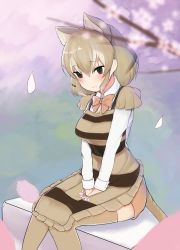 Rule 34 | 10s, 1girl, apron, bad id, bad twitter id, blush, bow, bowtie, cherry blossoms, commentary request, flower, hands on lap, highres, kemono friends, light brown hair, long sleeves, multicolored hair, short hair, shorts, sitting, smile, striped, svelgr (hre), thighhighs, thylacine (kemono friends), thylacine ears, thylacine tail, white hair