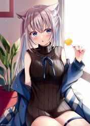 Rule 34 | 1girl, animal ear fluff, animal ears, bare shoulders, blue eyes, blue hair, blue jacket, blush, breasts, candy, cat ears, commentary request, covered navel, day, ear piercing, food, grey hair, hair between eyes, holding, holding candy, holding food, holding lollipop, indoors, jacket, lollipop, long hair, long sleeves, medium breasts, multicolored hair, nail polish, off shoulder, open clothes, open jacket, original, piercing, plant, potted plant, red nails, ribbed sweater, sakura hiyori, sitting, sleeveless, sleeveless sweater, solo, sunlight, sweater, turtleneck, turtleneck sweater, twintails, two-tone hair, window