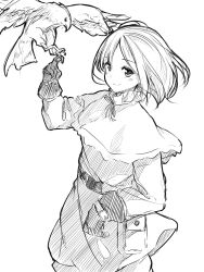 Rule 34 | 1girl, belt, bird, bird on hand, capelet, closed mouth, coat, commentary request, cowboy shot, falconry, gloves, greyscale, hand up, hawk, looking at viewer, monochrome, neck ribbon, original, pants, ribbon, short hair, simple background, sketch, smile, solo, standing, white background, yuki arare