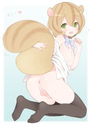 Rule 34 | +++ (artist), 1boy, androgynous, animal ears, anus, ass, black thighhighs, blush, bottomless, bow, brown hair, feet, green eyes, highres, kneeling, male focus, neck ribbon, nipples, no shoes, original, penis, perineum, ribbon, smile, solo, squirrel ears, squirrel tail, tail, testicles, thighhighs, trap, uncensored