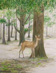 Rule 34 | animal, day, deer, forest, grass, highres, nature, no humans, original, painting (medium), plant, scenery, traditional media, tree, watercolor (medium), yamaji nao