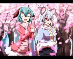Rule 34 | 2girls, :d, ^ ^, animal ears, aqua hair, broom, capelet, cherry blossoms, closed eyes, dog ears, dowsing rod, dress, closed eyes, female focus, forest, green hair, grey hair, kasodani kyouko, letterboxed, long sleeves, mouse ears, mouse tail, multiple girls, nature, nazrin, nogisaka kushio, open mouth, outdoors, petals, red eyes, short dress, short hair, smile, tail, touhou, tree, walking