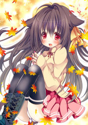 Rule 34 | 1girl, :d, ahoge, animal ears, ass, autumn leaves, black hair, black thighhighs, commentary request, hikanyan, long hair, looking at viewer, open mouth, original, panties, pantyshot, pleated skirt, red eyes, skirt, smile, solo, tail, thighhighs, underwear, white panties, wolf ears, wolf tail, zettai ryouiki